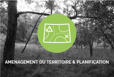 aménagement du territoire et plannification